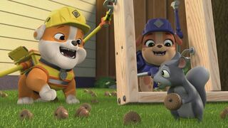 Ruben & Cie - SAISON 1