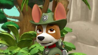 La Pat Patrouille - SAISON 4