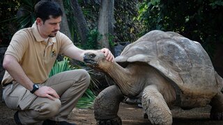 Animaux & Cie : une seconde chance