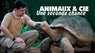 Animaux & Cie : une seconde chance