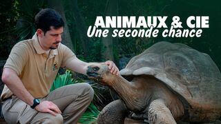 Animaux & Cie : une seconde chance