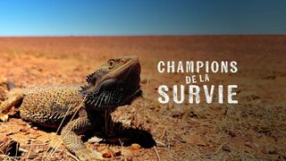Champion de la survie