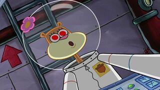 Bob l'éponge - SAISON 11