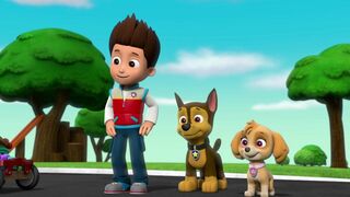 La Pat Patrouille - SAISON 4