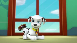 La Pat Patrouille - SAISON 4