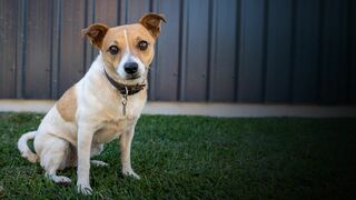 Une famille pour la vie