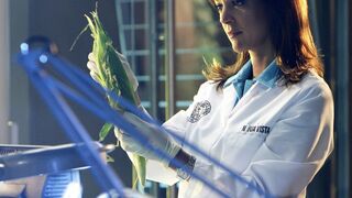 Les experts : Miami - SAISON 8