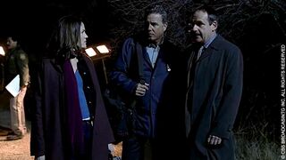 Les experts - SAISON 1