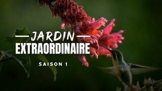 Le jardin extraordinaire