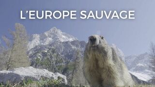 L'Europe sauvage