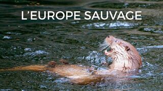 L'Europe sauvage