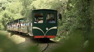 Des trains pas comme les autres