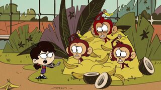 Bienvenue chez les Casagrandes - SAISON 3