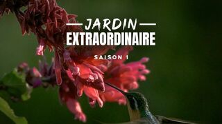 Le jardin extraordinaire