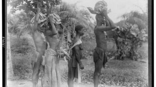 Quand l'Afrique sauva la France