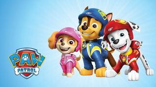Paw Patrol, la Pat'Patrouille - SAISON 10