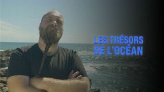 Les trésors de l'océan