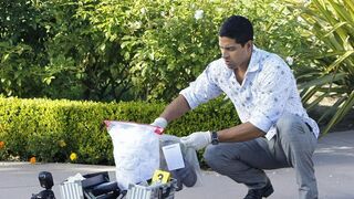 Les experts : Miami - SAISON 9