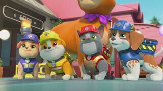 Ruben & Cie - SAISON 2