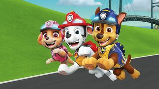 La Pat Patrouille - SAISON 7