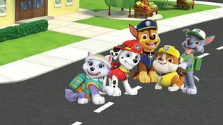 La Pat Patrouille - SAISON 3