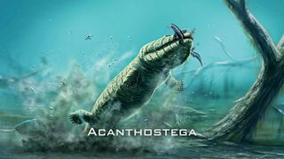 Héritages et énigmes du monde marin