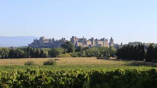 La tentation de l'architecte