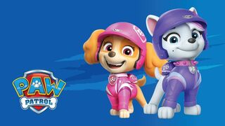 Paw Patrol, la Pat'Patrouille - SAISON 11
