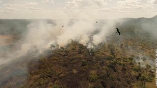 Survivre aux catastrophes : les stratégies de la nature
