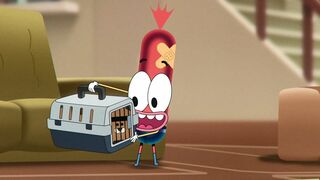 L'animal de compagnie