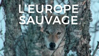 L'Europe sauvage
