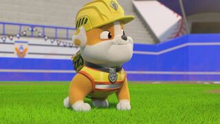 Ruben & Cie - SAISON 2