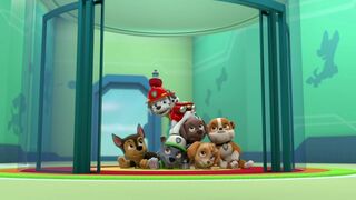 La Pat Patrouille - SAISON 8