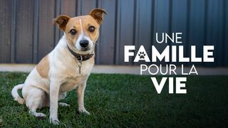 Une famille pour la vie