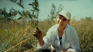 Planter à tout prix - Des arbres pour sauver la planète ?