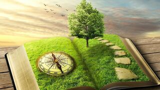 Paw Patrol, la Pat'Patrouille - SAISON 9