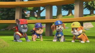 Ruben & Cie - SAISON 1