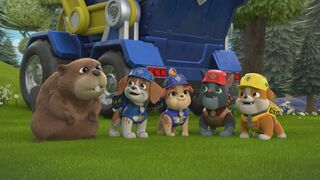 Ruben & Cie - SAISON 1