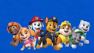 Paw Patrol, la Pat'Patrouille - SAISON 9