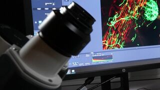 Le génie caché des plantes