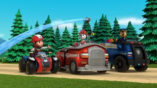 Paw Patrol, la Pat'Patrouille - SAISON 10