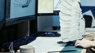 Le rêve de Léonard, les secrets du vol dans la nature