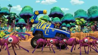 Paw Patrol, la Pat'Patrouille - SAISON 10