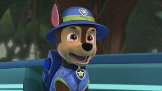 Paw Patrol, la Pat'Patrouille - SAISON 10