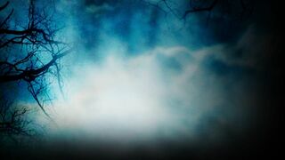 Five Nights at Freddy's