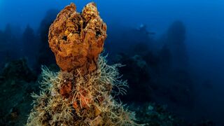 Méditerranée : la face immergée des volcans