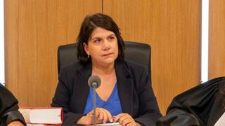 Affaire Carrier contre Palis Groupe France