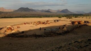 Voyage extraordinaire en Afrique Australe