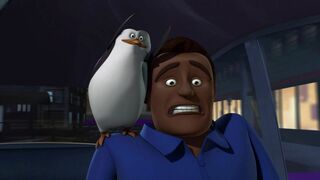 Les Pingouins de Madagascar - SAISON 2