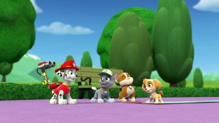 Paw Patrol, la Pat'Patrouille - SAISON 1
